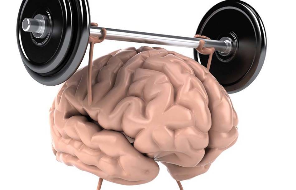 Пресса о нас - тренировки для мозга: какие они бывают, и зачем они нужны. советы специалиста