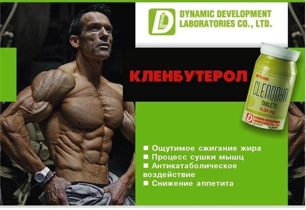 Спортивное питание для сушки - sportfito — сайт о спорте и здоровом образе жизни