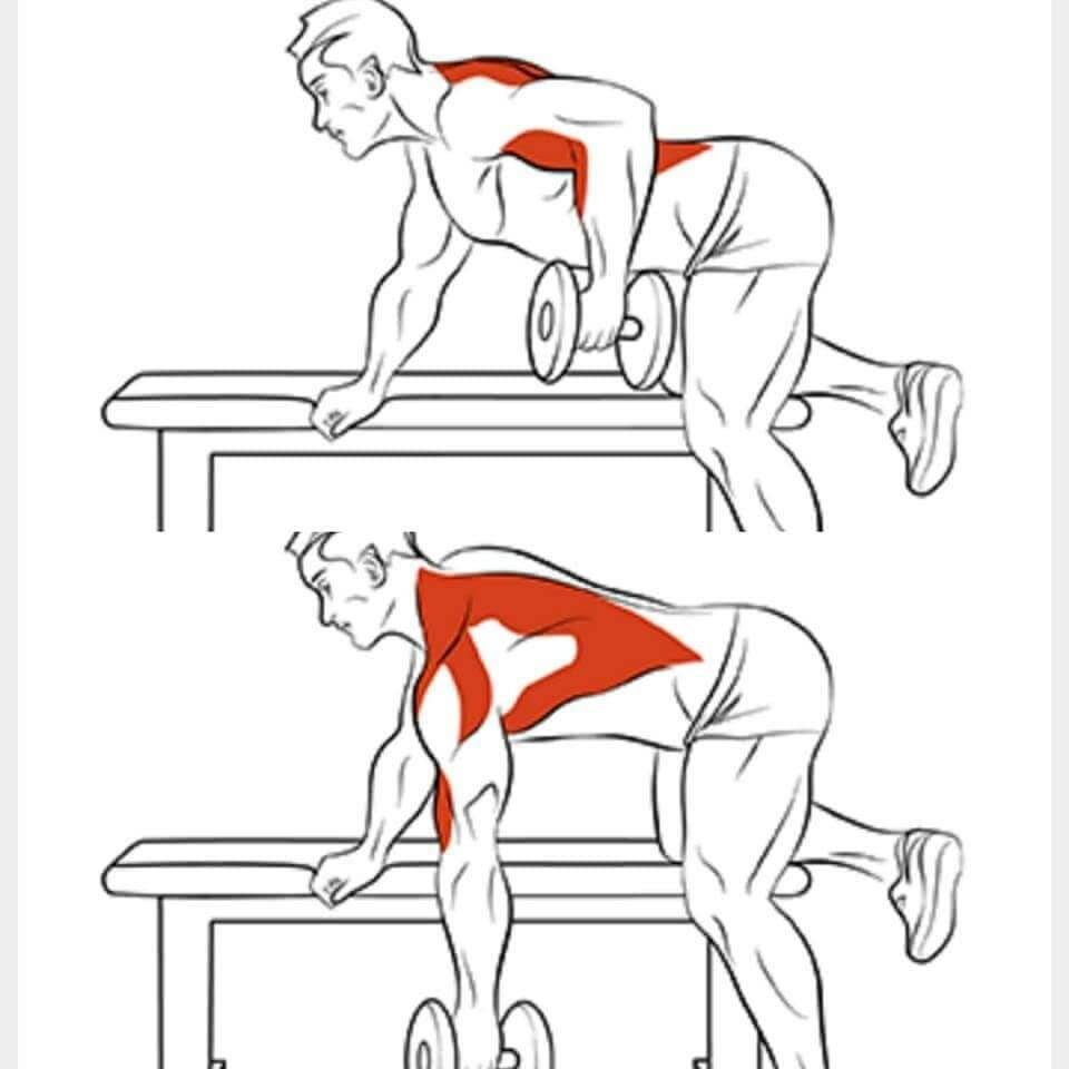 Как накачать мышцы спины - советы для новичков и опытных атлетов